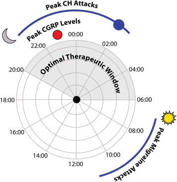 Migraine therapy through Circadian Rhythms